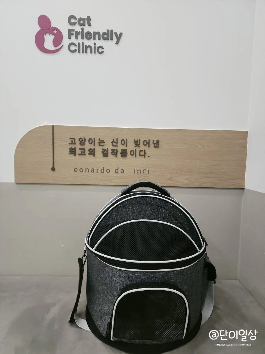 창원 고양이 2차 접종, 유니온동물병원 후기 및 비용 안내 — 사진 8