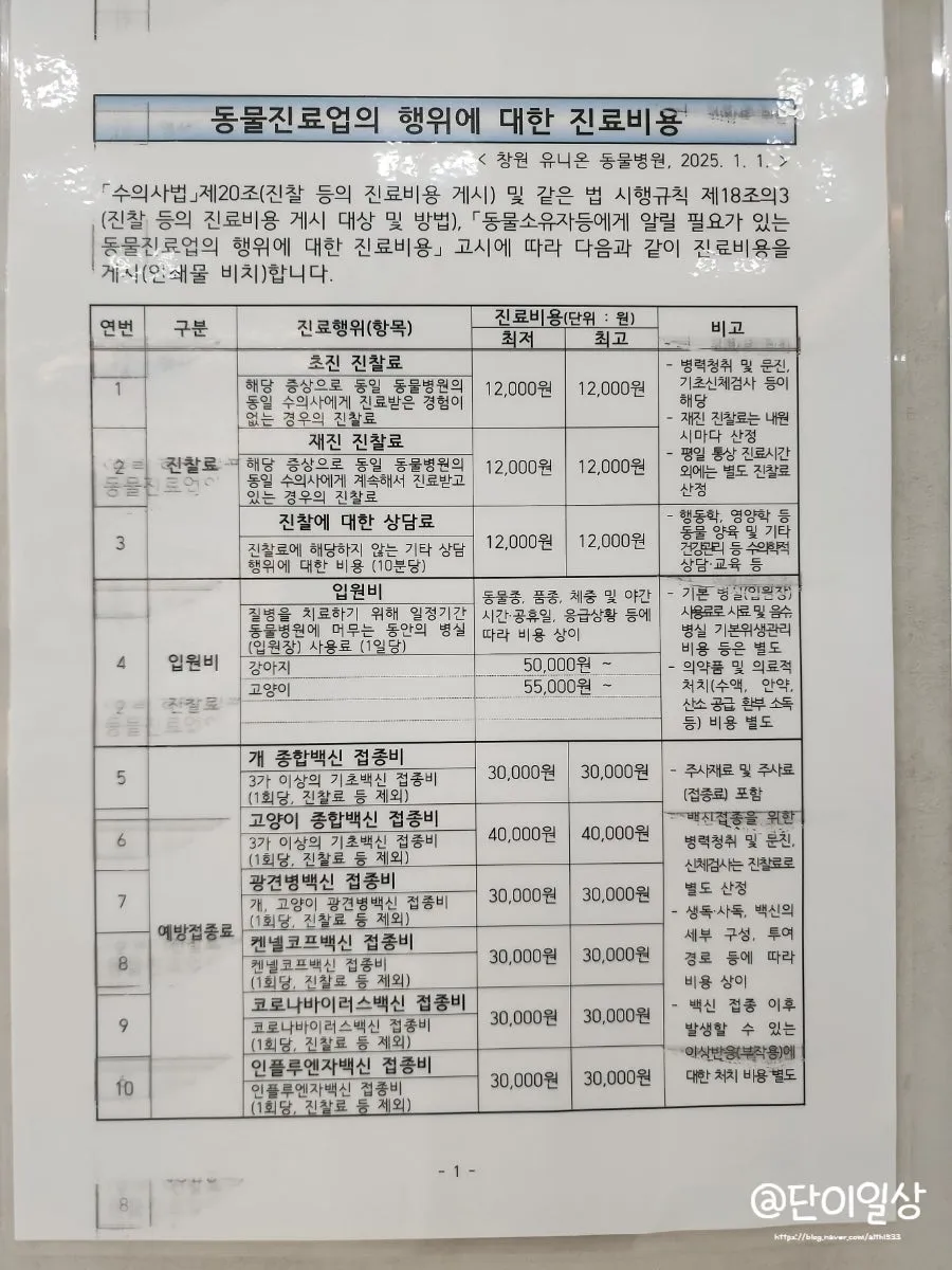 창원 고양이 2차 접종, 유니온동물병원 후기 및 비용 안내 — 사진 10