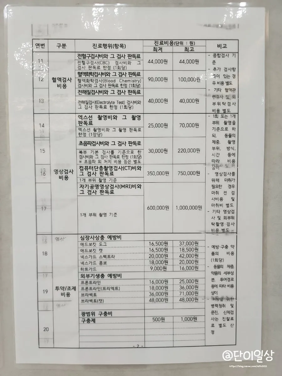 창원 고양이 2차 접종, 유니온동물병원 후기 및 비용 안내 — 사진 11