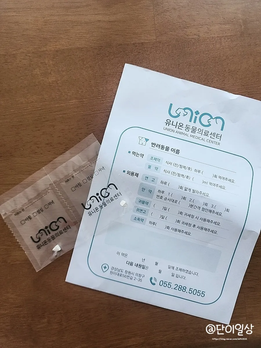 창원 고양이 2차 접종, 유니온동물병원 후기 및 비용 안내 — 사진 12