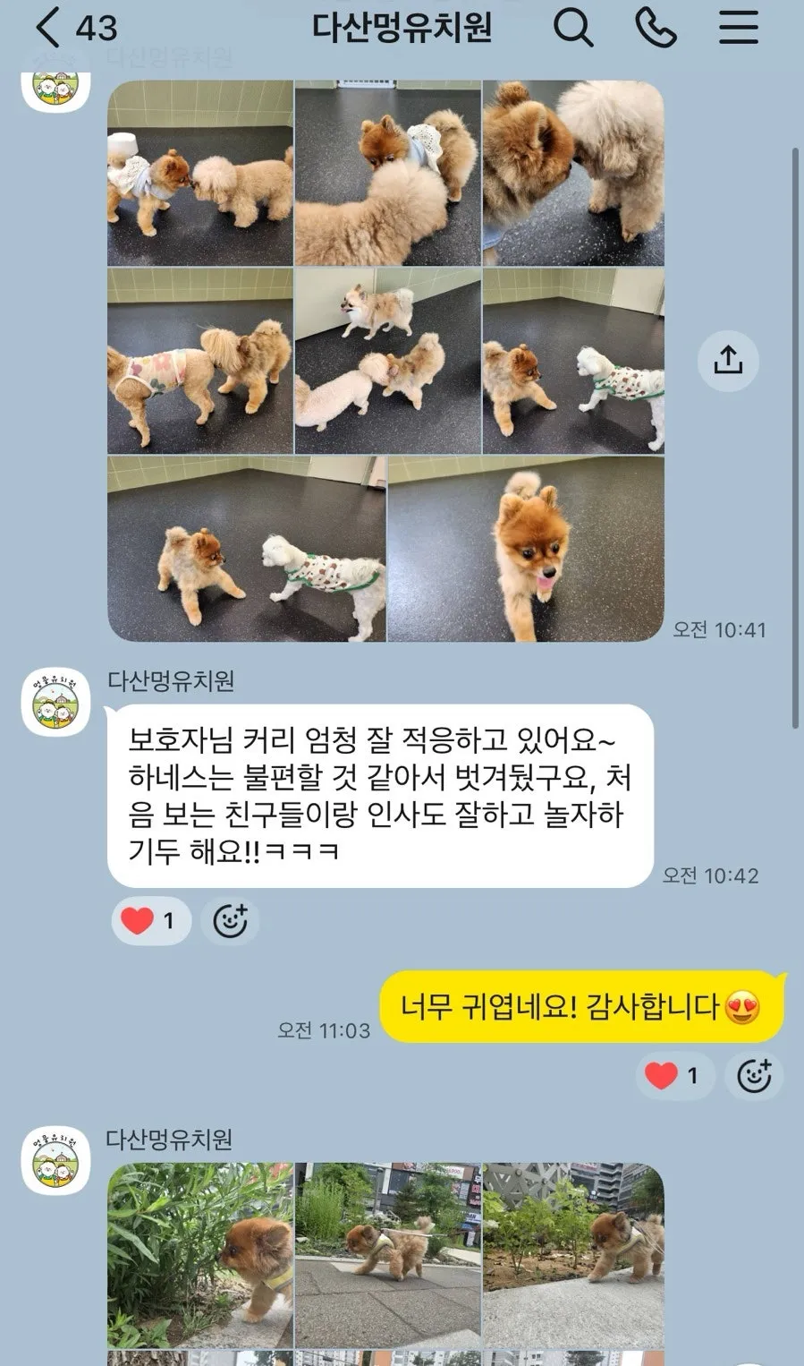 다산역 멍뭉 유치원: 강아지 사회화·놀이 체험 후기 — 사진 8