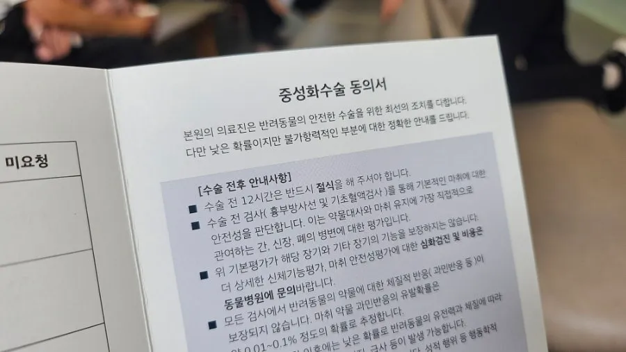 이탈리안 그레이하운드 중성화 수술: 비용, 회복, 당일 관리 총정리 — 사진 6