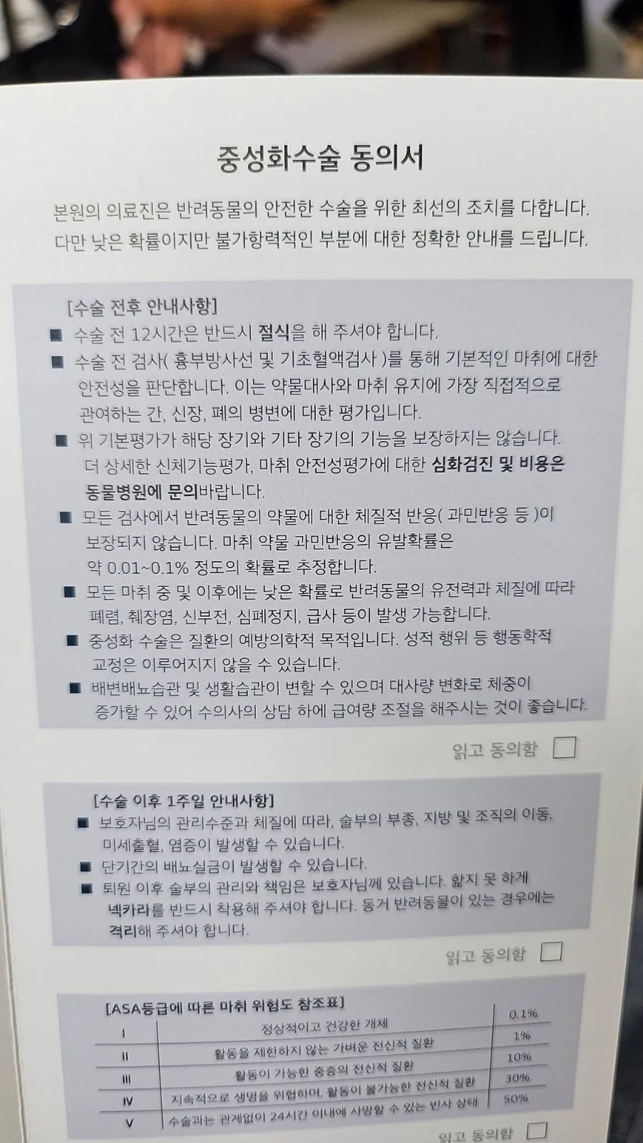이탈리안 그레이하운드 중성화 수술: 비용, 회복, 당일 관리 총정리 — 사진 7