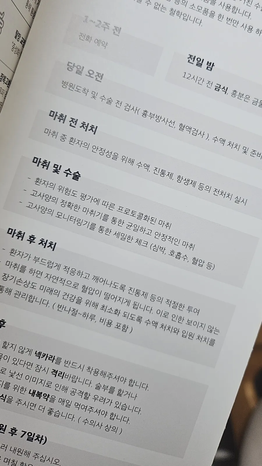 이탈리안 그레이하운드 중성화 수술: 비용, 회복, 당일 관리 총정리 — 사진 12