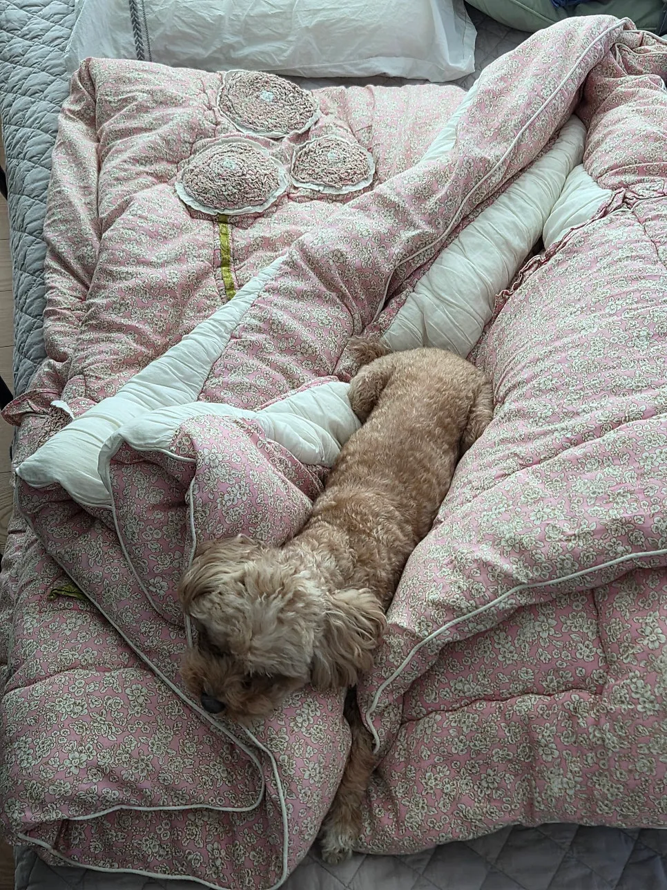 부평 고양이 당뇨·췌장염 24시 동물병원 추천 및 후기 — 사진 12