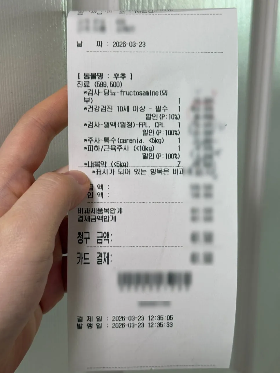 부평 고양이 당뇨·췌장염 24시 동물병원 추천 및 후기 — 사진 18
