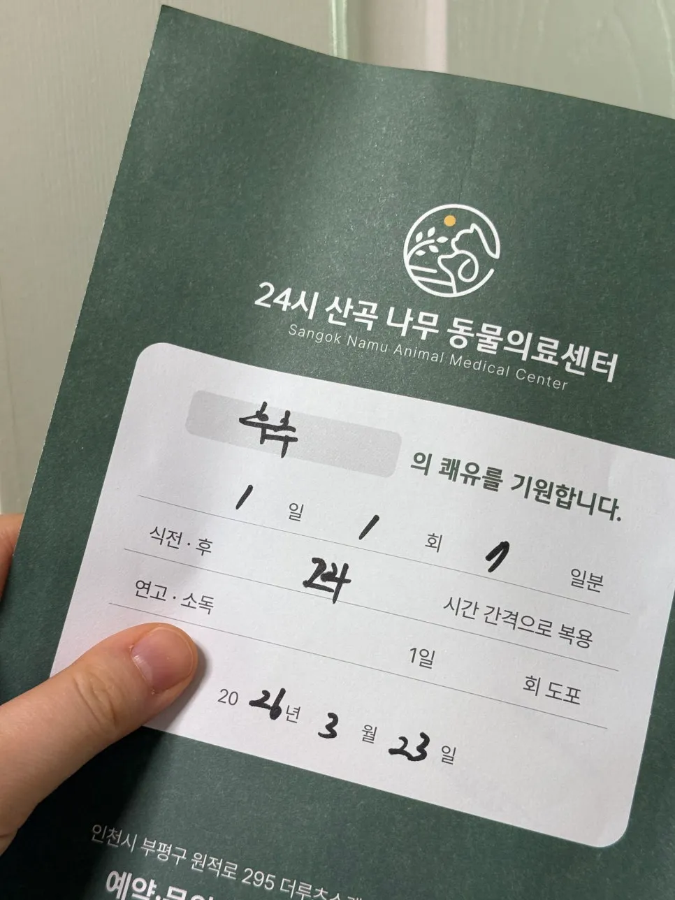 부평 고양이 당뇨·췌장염 24시 동물병원 추천 및 후기 — 사진 19
