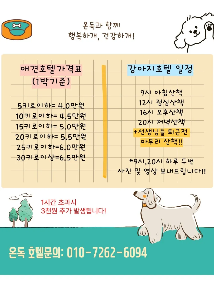 오산 애견유치원 온독, 1500평 잔디서 신나게! 비용·시설 완벽 분석 — 사진 2