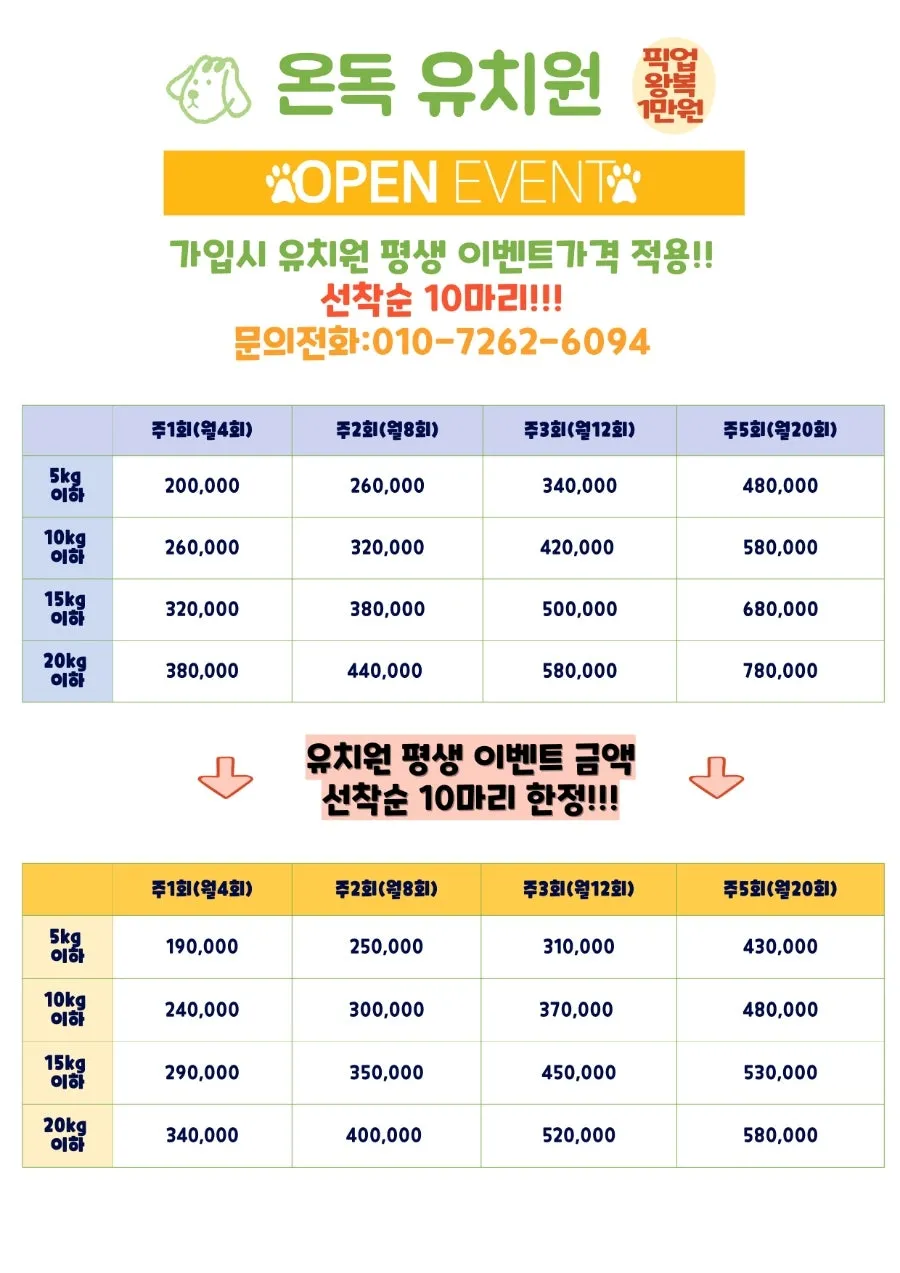 오산 애견유치원 온독, 1500평 잔디서 신나게! 비용·시설 완벽 분석 — 사진 3