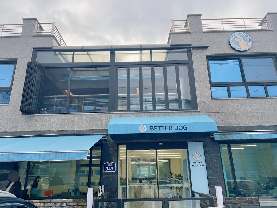 말티즈 훈련소 베럴독, 조재호 훈련사 참관 후기