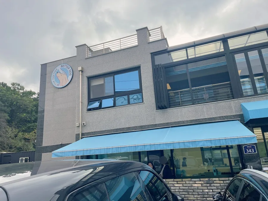 말티즈 훈련소 베럴독, 조재호 훈련사 참관 후기 — 사진 4