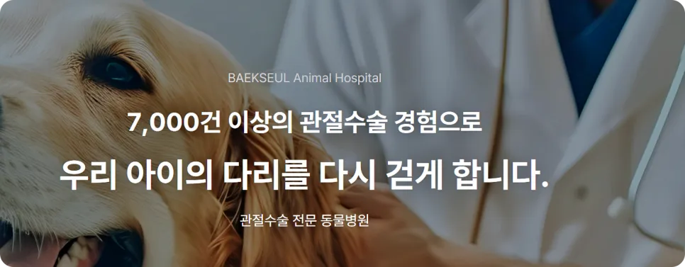 푸들 슬개골탈구 수술, 7천건 경험 병원 선택 가이드 — 사진 7