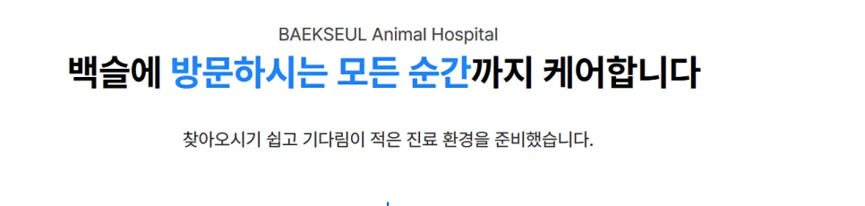 푸들 슬개골탈구 수술, 7천건 경험 병원 선택 가이드 — 사진 19