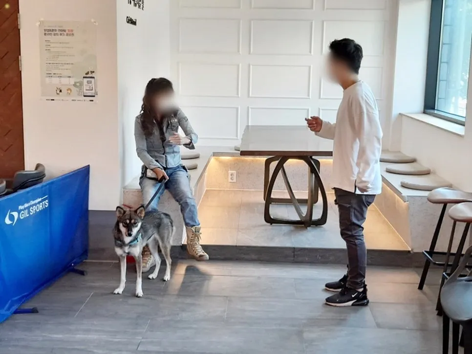 강아지 훈련사 취업: 자격증 취득부터 실무까지 A to Z