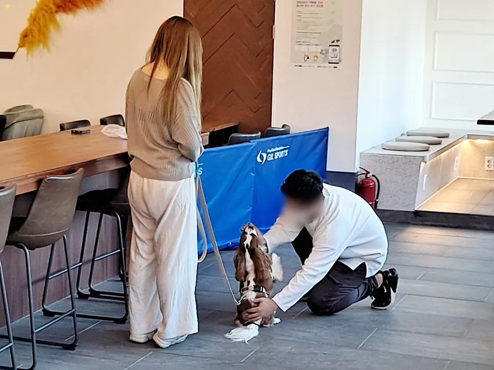 강아지 훈련사 취업: 자격증 취득부터 실무까지 A to Z — 사진 2