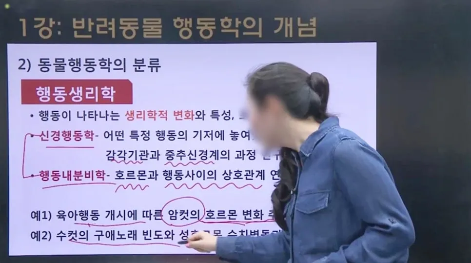 강아지 훈련사 취업: 자격증 취득부터 실무까지 A to Z — 사진 3