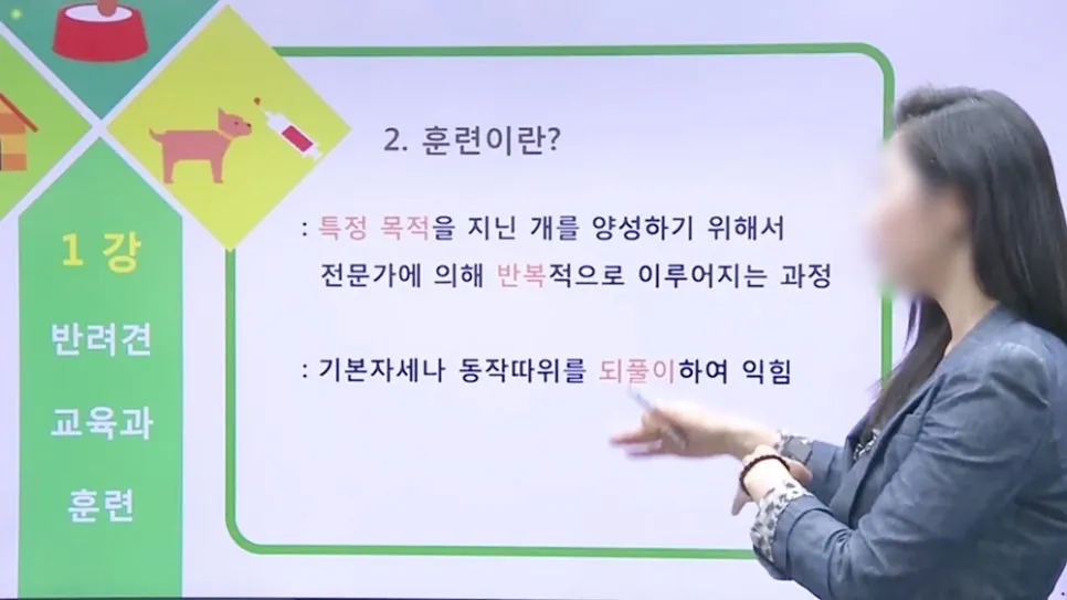 강아지 훈련사 취업: 자격증 취득부터 실무까지 A to Z — 사진 4