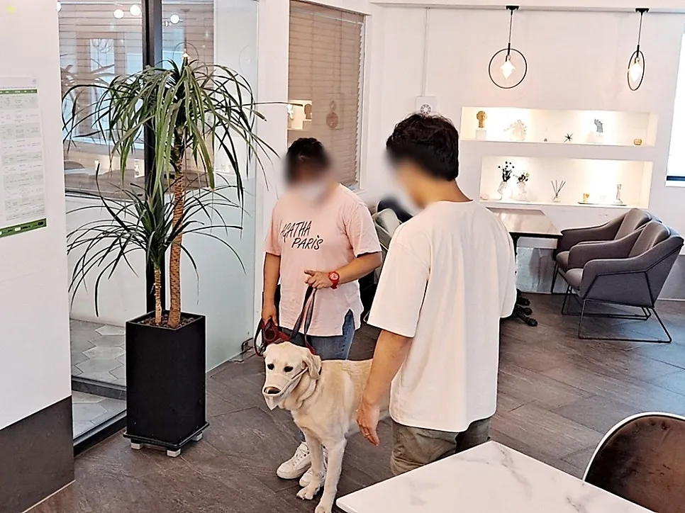 강아지 훈련사 취업: 자격증 취득부터 실무까지 A to Z — 사진 7