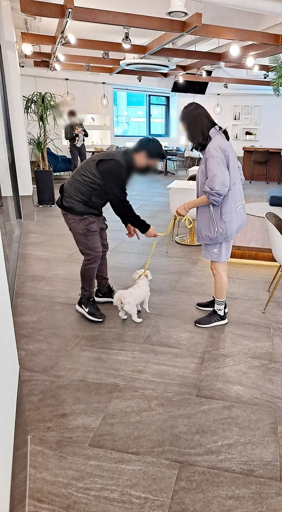 강아지 훈련사 취업: 자격증 취득부터 실무까지 A to Z — 사진 9