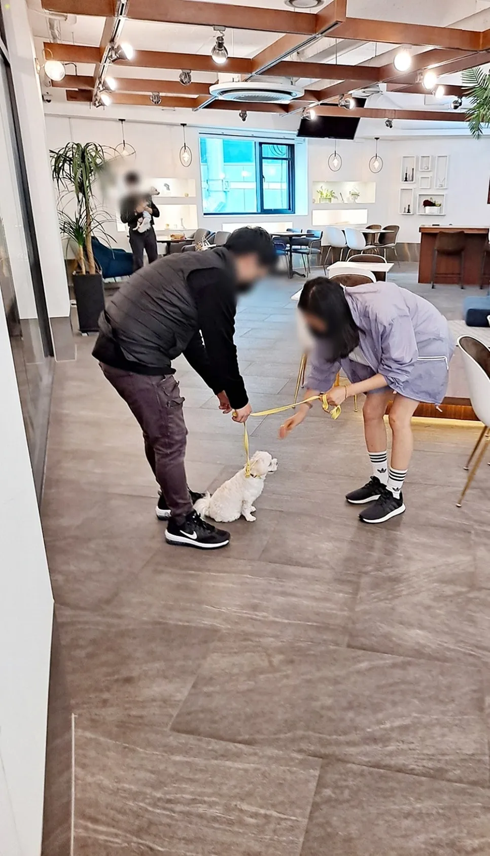 강아지 훈련사 취업: 자격증 취득부터 실무까지 A to Z — 사진 10