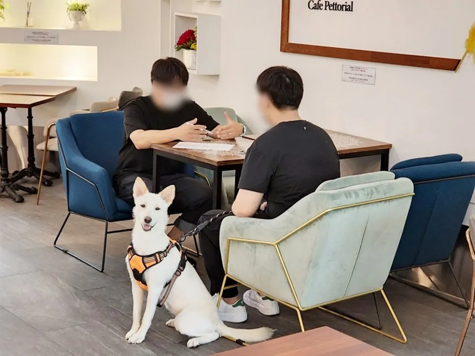 강아지 훈련사 취업: 자격증 취득부터 실무까지 A to Z — 사진 11