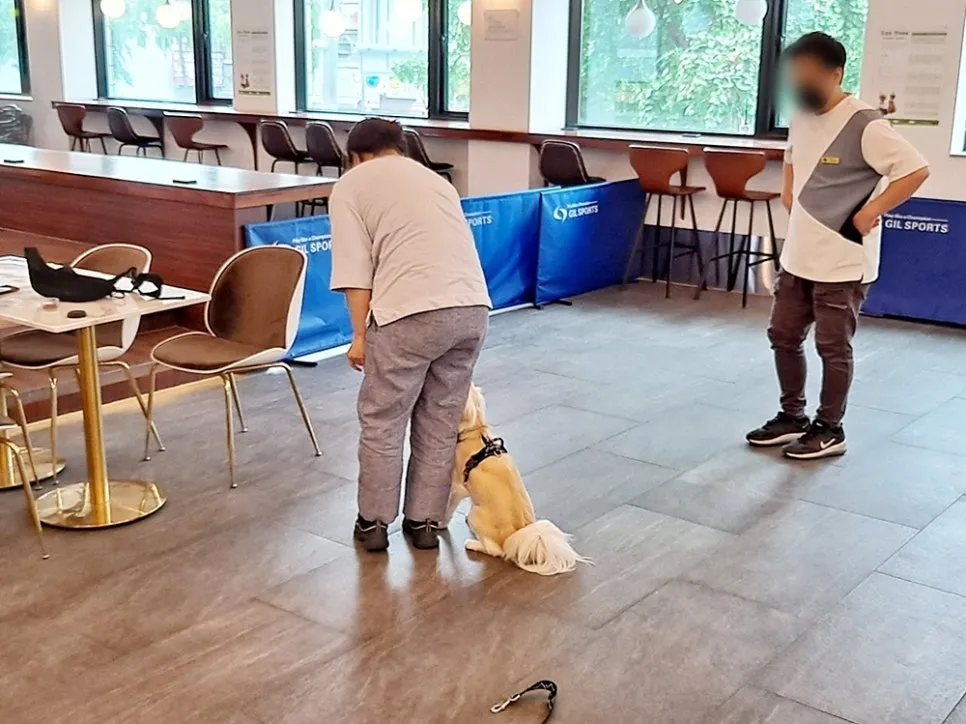 강아지 훈련사 취업: 자격증 취득부터 실무까지 A to Z — 사진 16