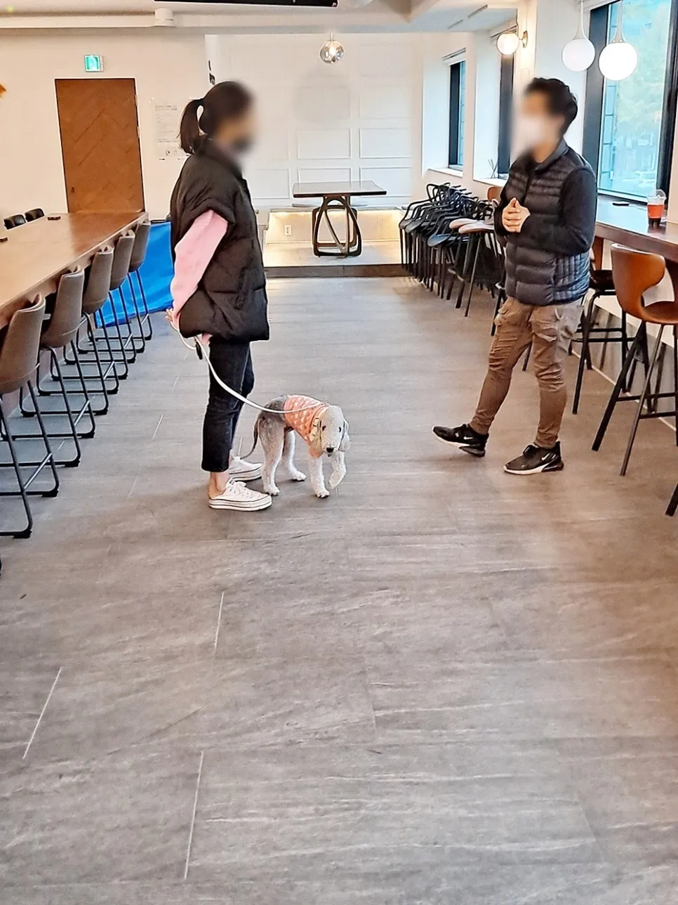 강아지 훈련사 취업: 자격증 취득부터 실무까지 A to Z — 사진 18