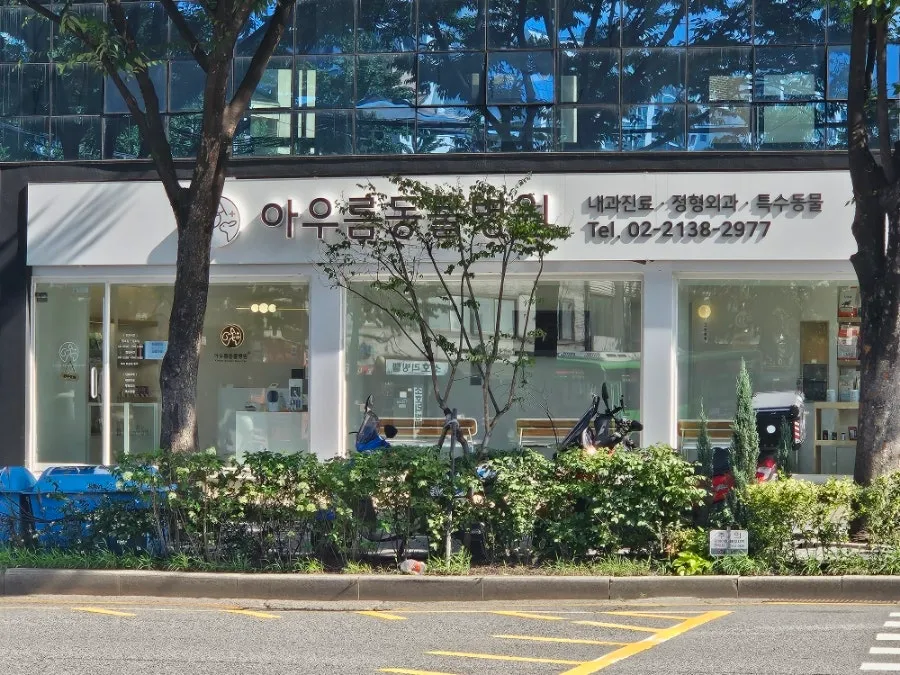 이수역 고양이 건강검진 비용: 혈액검사 17종 후기 — 사진 2