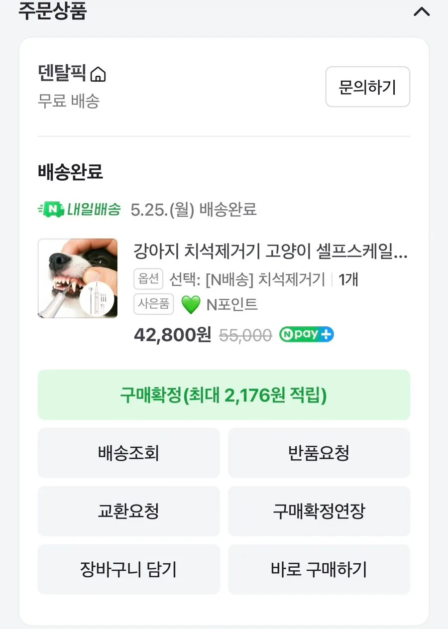 강아지 치석제거기, 집에서 안전하게 관리하는 방법 — 사진 2