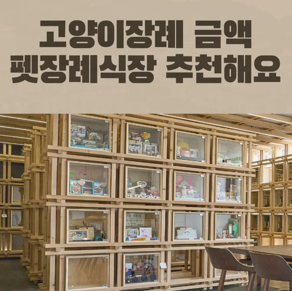 고양이 장례 비용 및 절차, 포포즈 펫장례식장 추천 — 사진 3