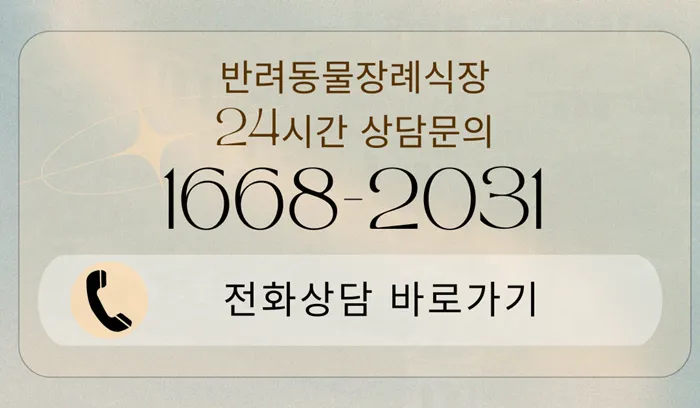 고양이 장례 비용 및 절차, 포포즈 펫장례식장 추천 — 사진 4