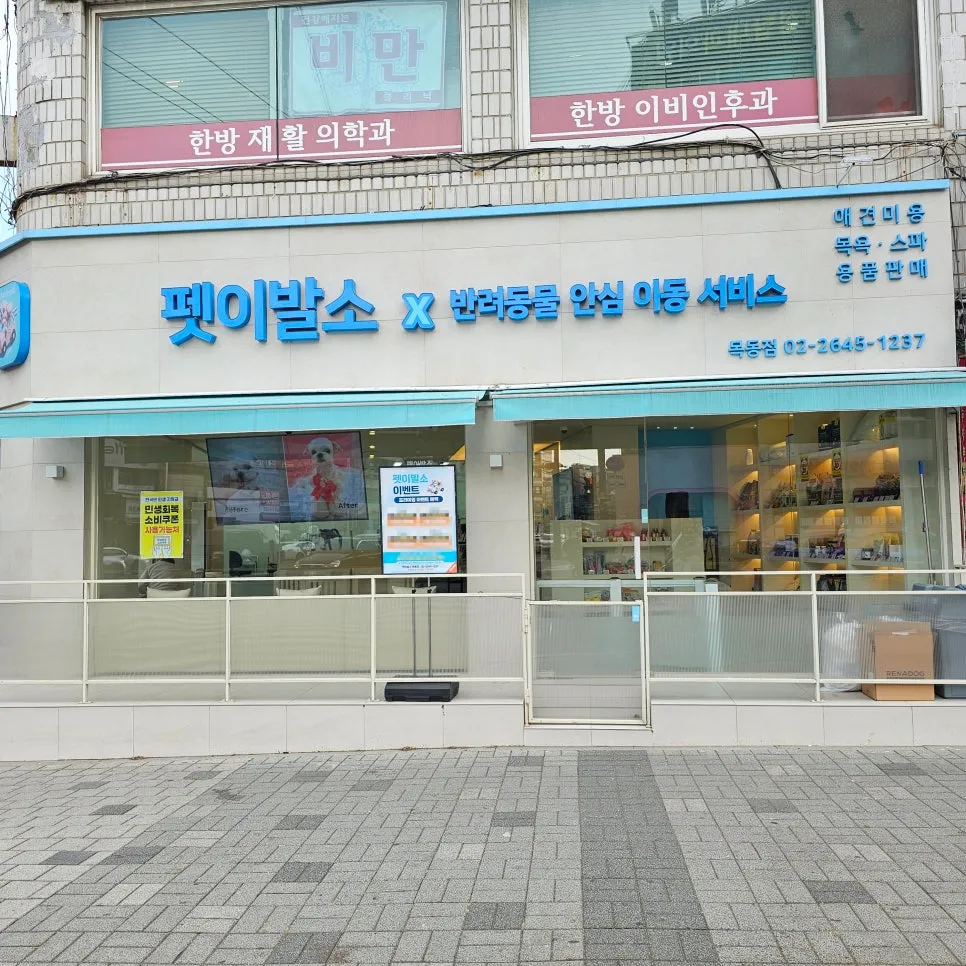 마포 푸들 작은테디컷 미용 후기: 픽업드롭 편리함 — 사진 9
