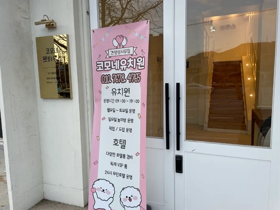 부산 강아지 유치원 코모네하우스, 사회화·놀이·안전한 환경 후기 — 사진 2
