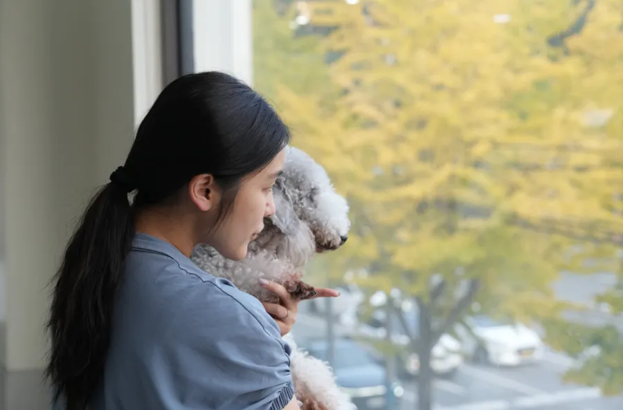 부산 강아지 유치원 코모네하우스, 사회화·놀이·안전한 환경 후기 — 사진 13
