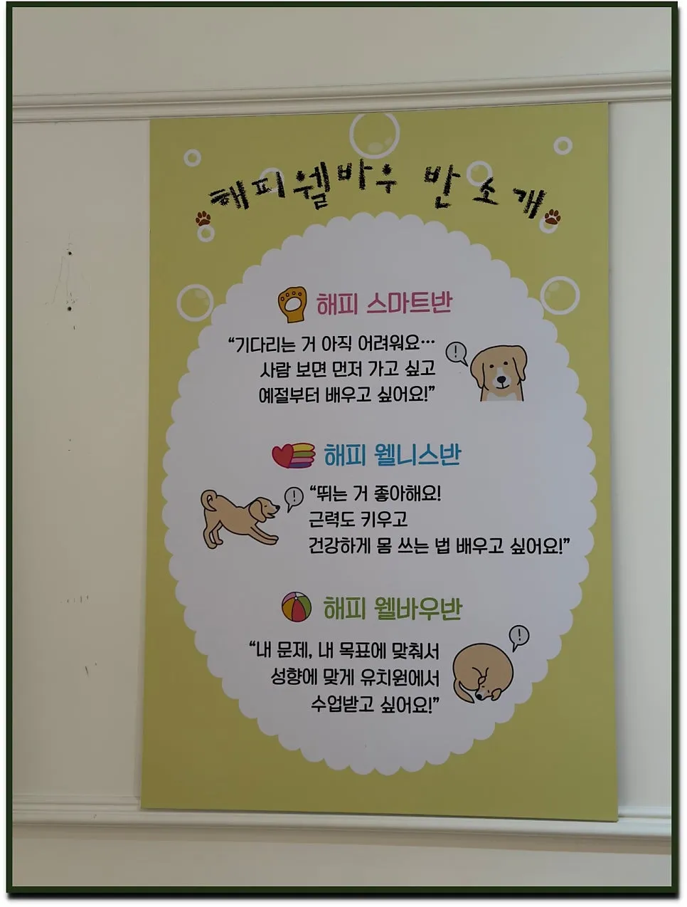 대구 강아지 유치원 해피웰바우, 사회성·훈련 집중 교육 후기 — 사진 4