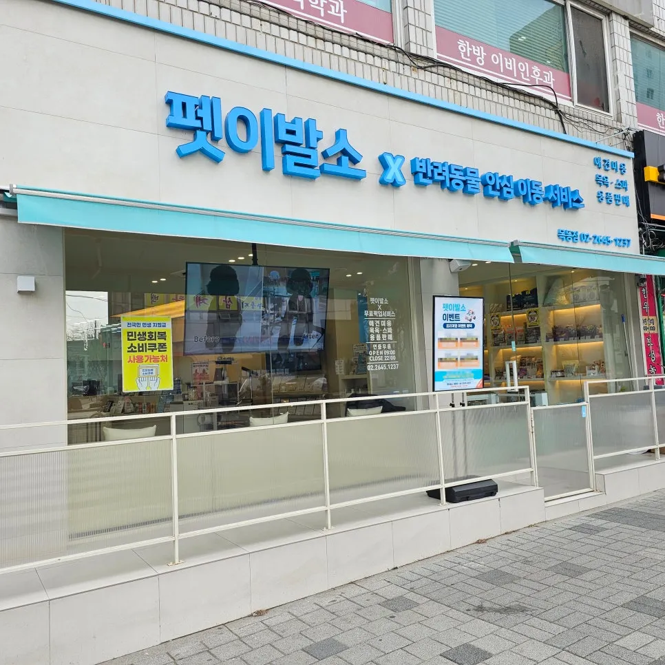 신월동 푸들 6mm 알머리컷, 답답함 해소 후기 — 사진 10