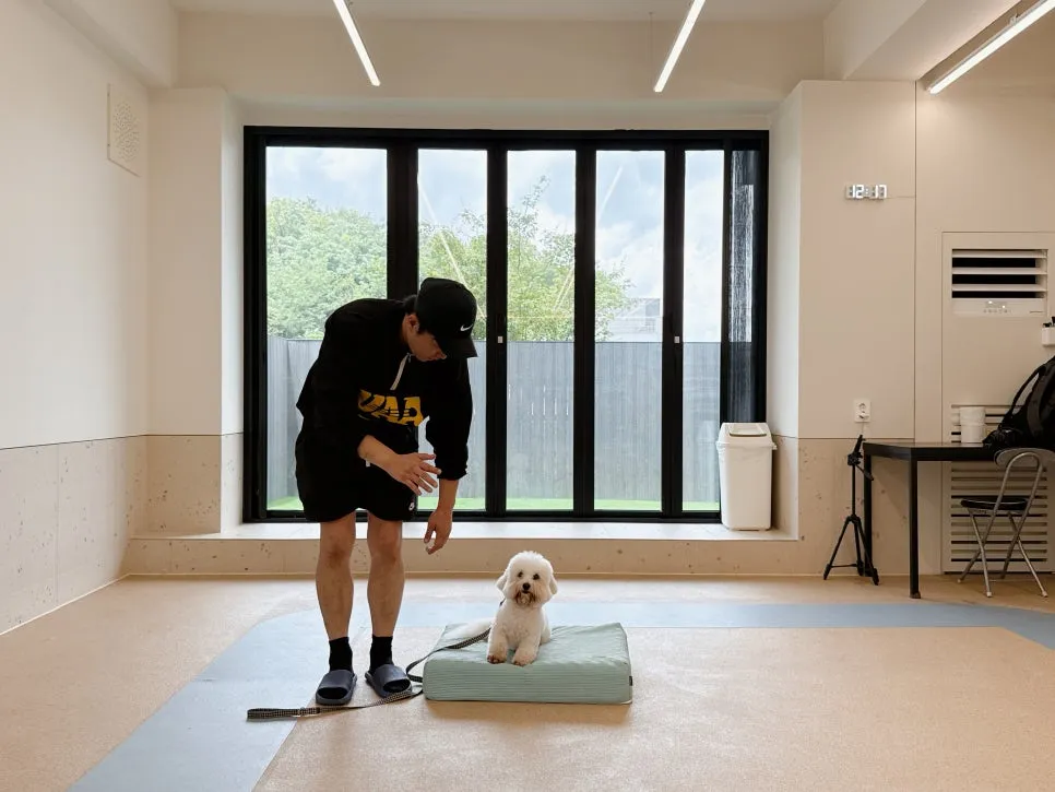강아지 유치원 베럴독, 훈련사 조재호와 함께하는 사회성 향상