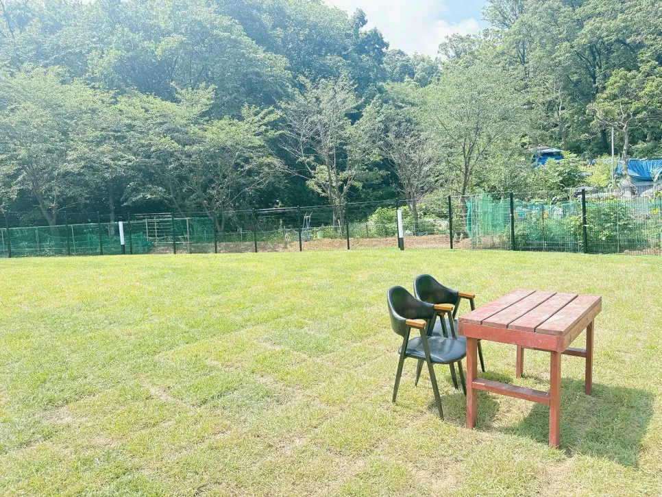 강아지 유치원 베럴독, 훈련사 조재호와 함께하는 사회성 향상 — 사진 8
