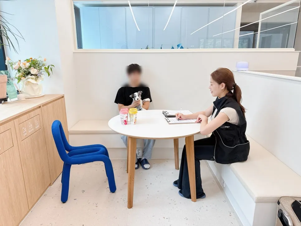 강아지 유치원 베럴독, 훈련사 조재호와 함께하는 사회성 향상 — 사진 13