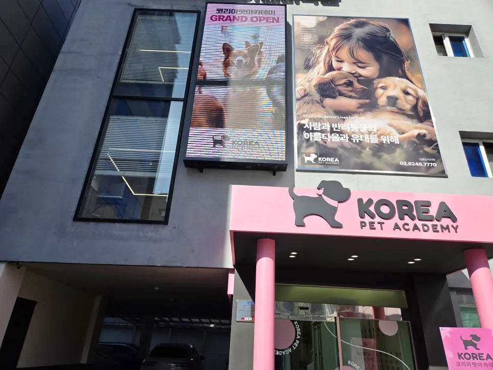 강남 애견미용학원 자격증 취득 후기: 과정 및 비용 — 사진 2