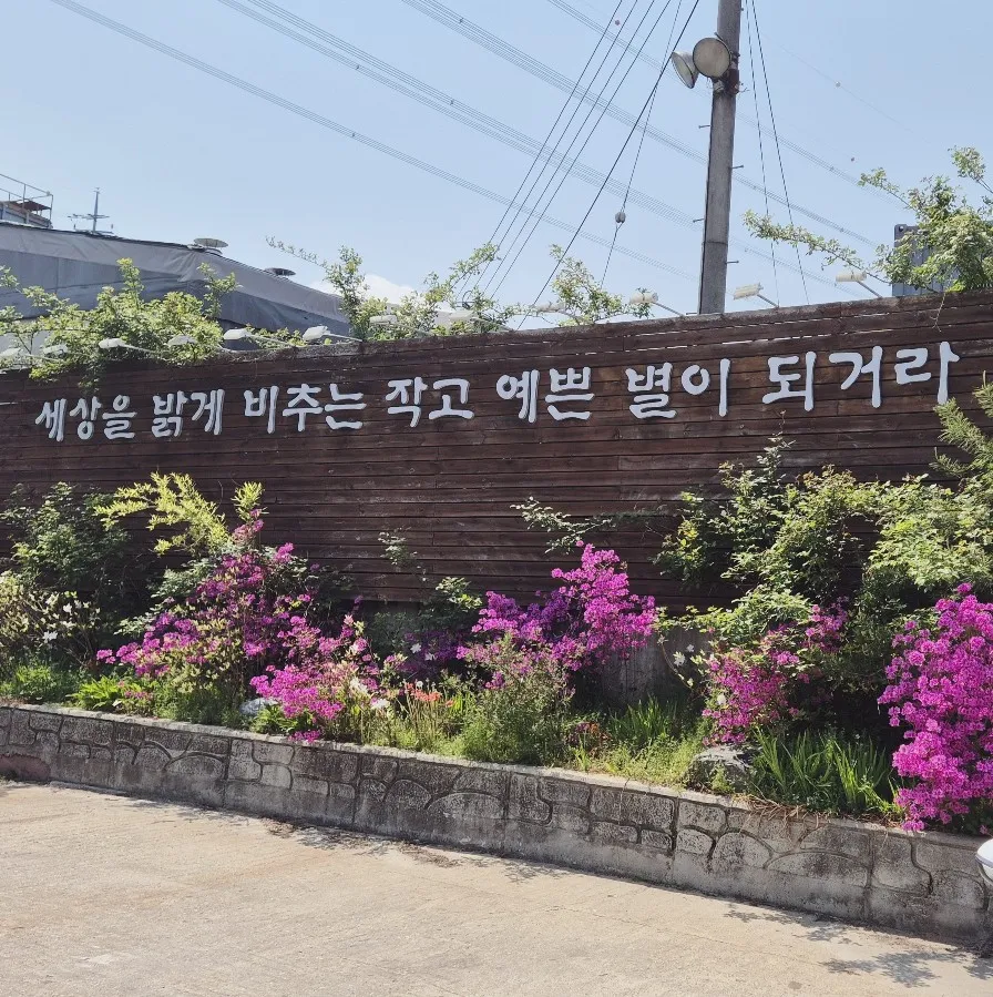 말티즈 강아지 장례, 펫바라기 일산점 후기 및 비용