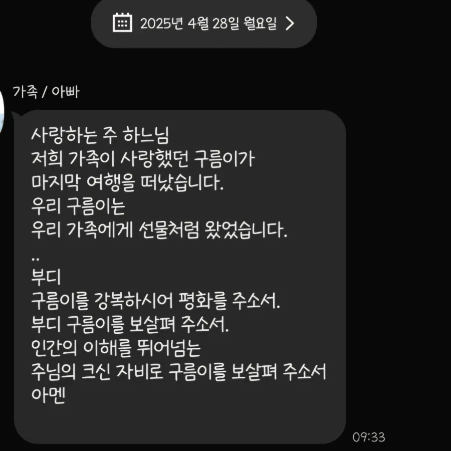 말티즈 강아지 장례, 펫바라기 일산점 후기 및 비용 — 사진 2