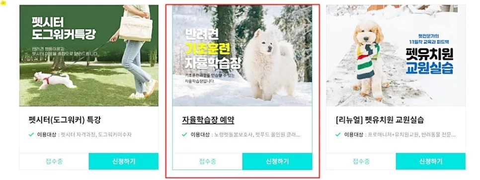 강아지 입질·짖음 훈련, 보호자 교육으로 해결했어요 — 사진 6