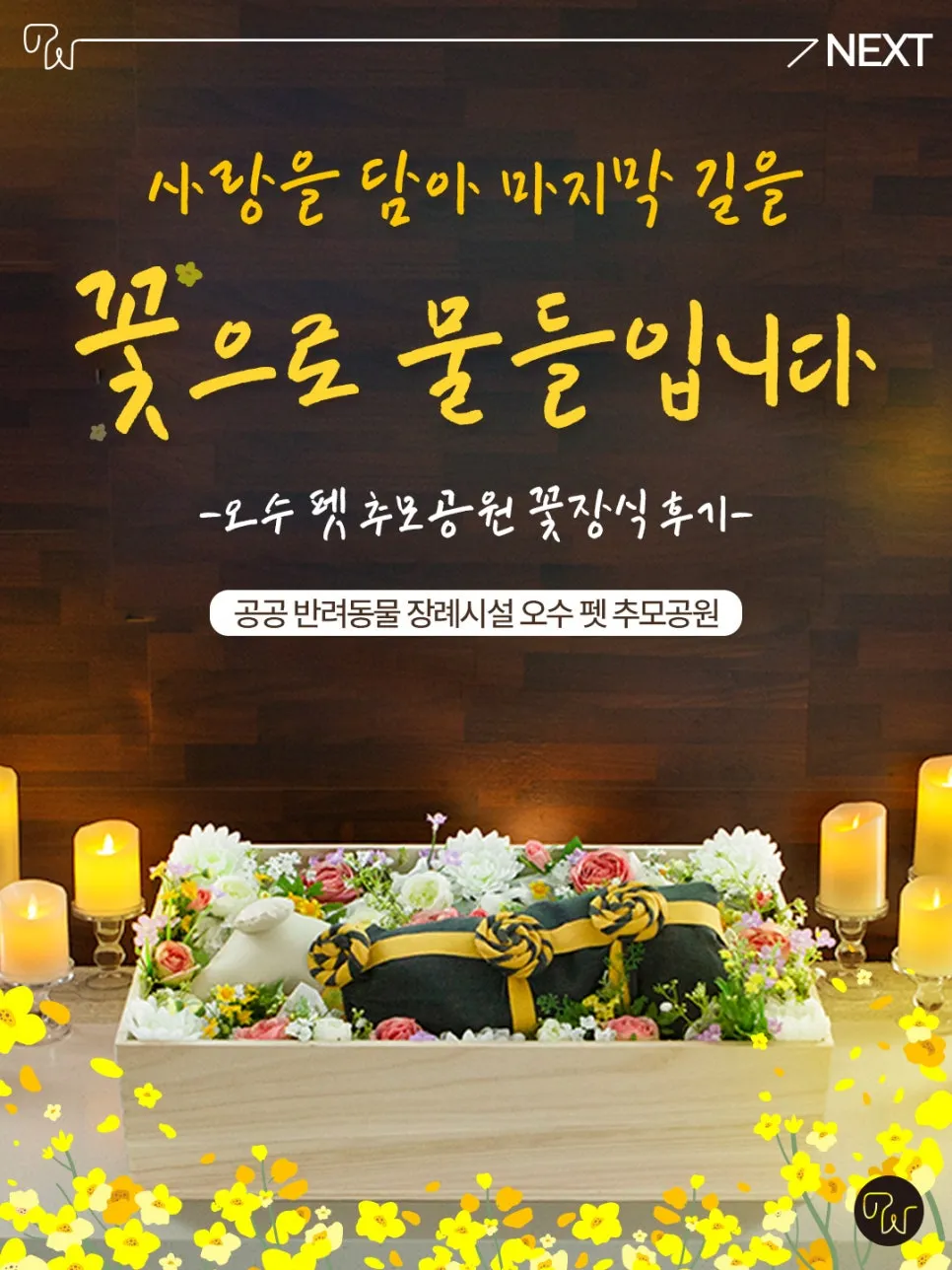광주 고양이 장례, 오수 펫 추모공원 꽃장식 후기