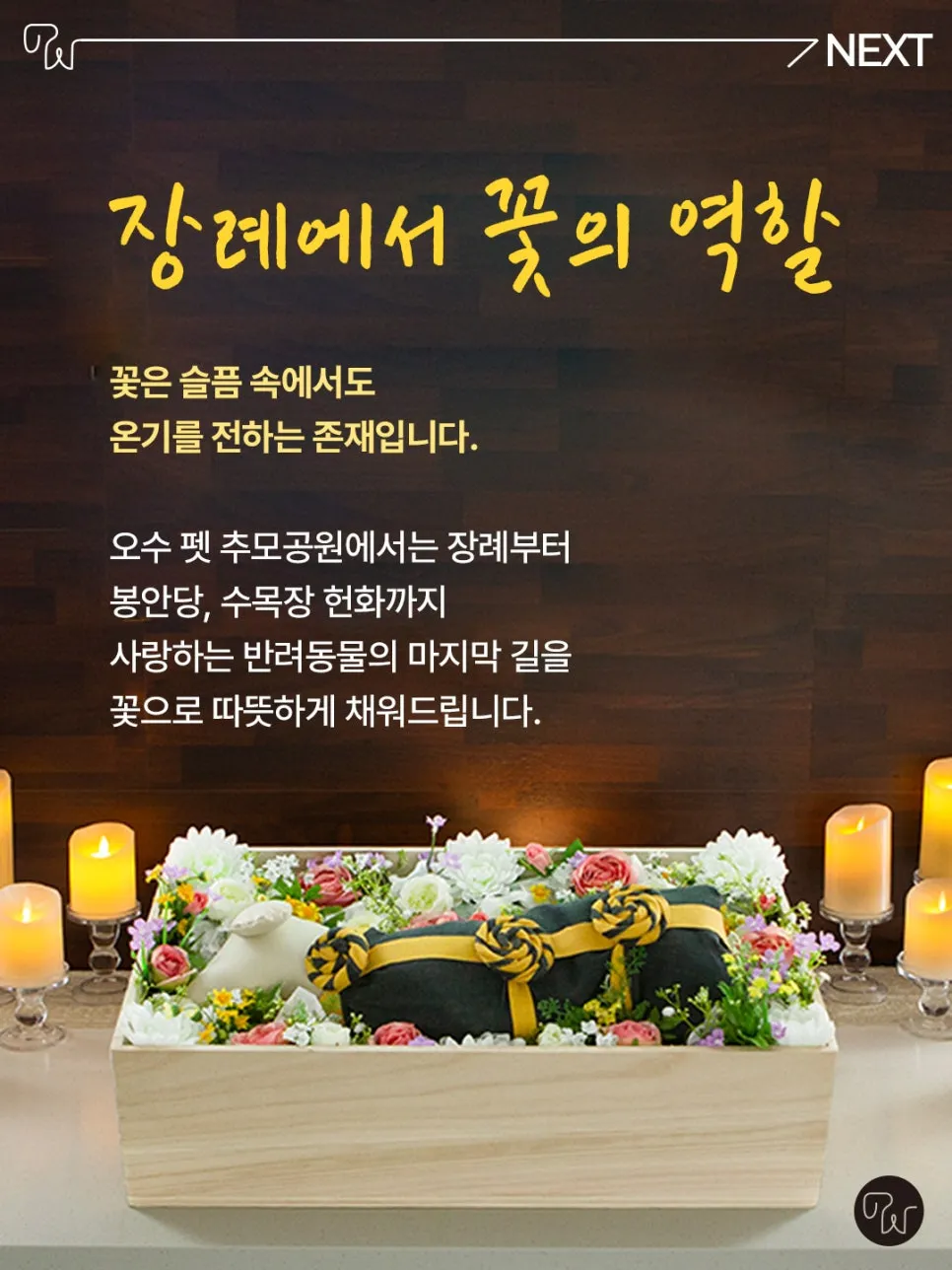 광주 고양이 장례, 오수 펫 추모공원 꽃장식 후기 — 사진 5