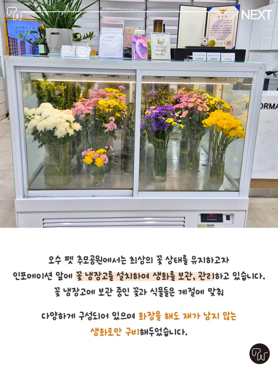 광주 고양이 장례, 오수 펫 추모공원 꽃장식 후기 — 사진 6