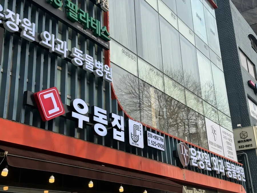 방배역 푸들 슬개골탈구 전문 윤장원외과 동물병원 후기