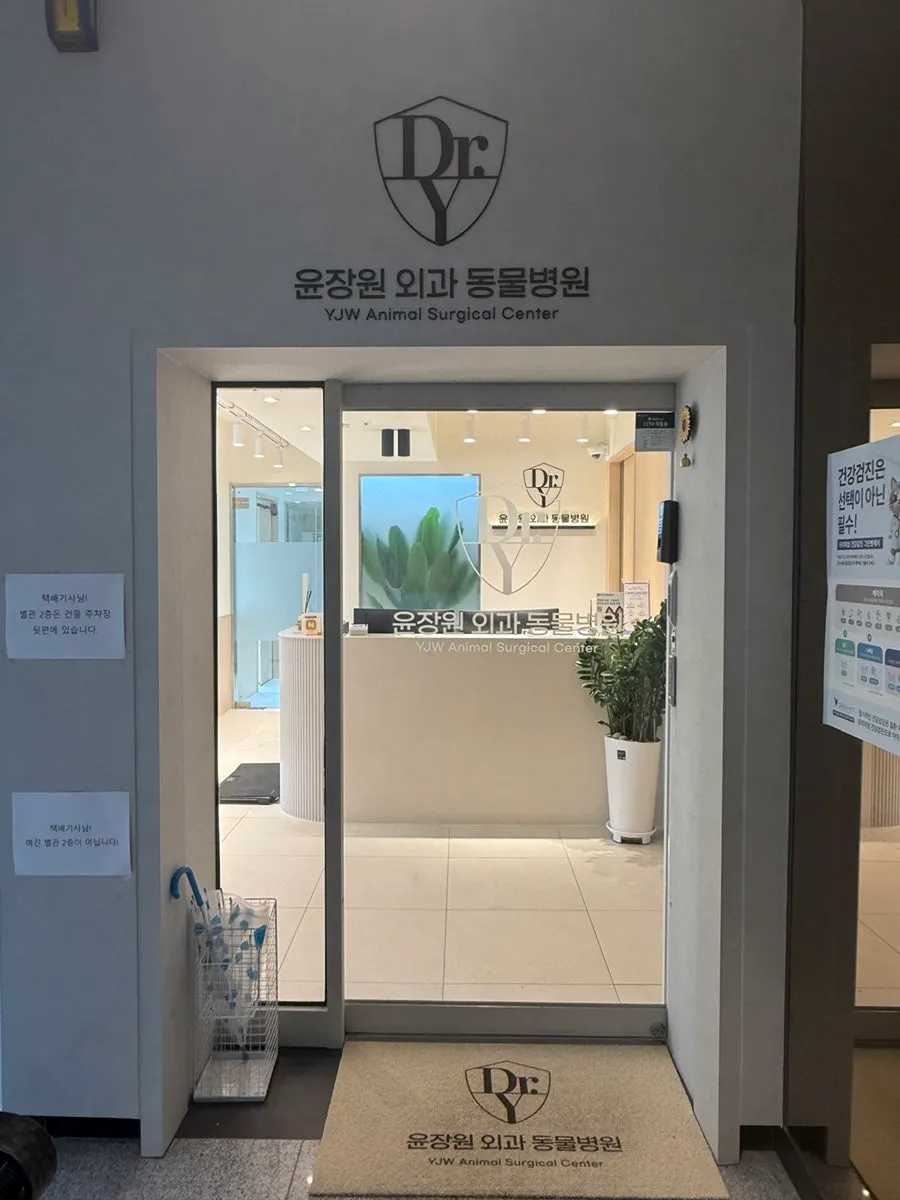 방배역 푸들 슬개골탈구 전문 윤장원외과 동물병원 후기 — 사진 2
