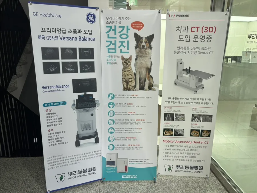 16세 신부전 강아지 스케일링, 뿌리동물병원 후기 — 사진 2