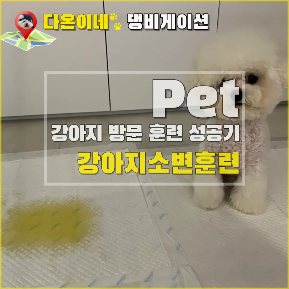 강아지 방문 훈련으로 소변 실수 해결 후기